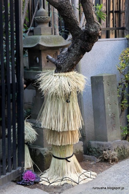 Nov_tronco_warimaki2