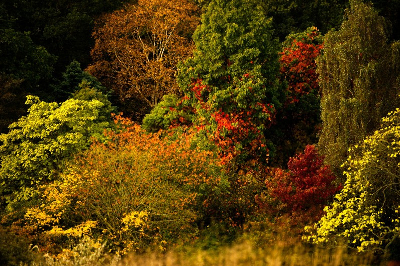 RHSHarlowCarr_BethanyClarke